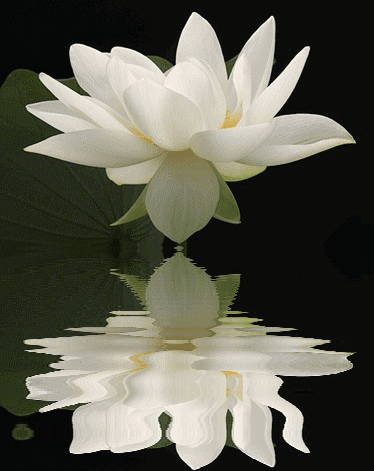 090708152272d2bd94afb54a35.gif