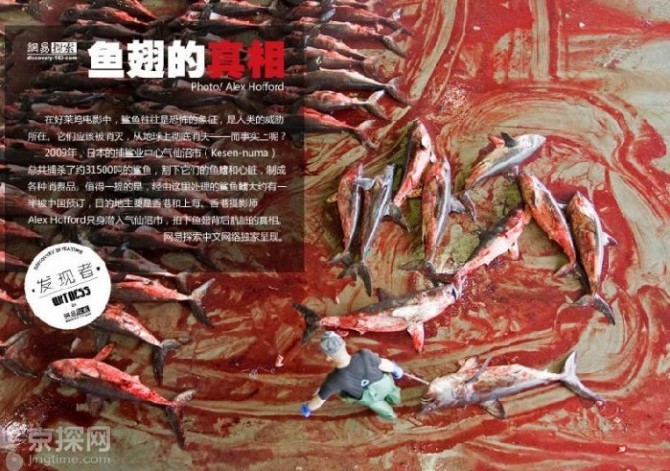 20110314_4e4bbf19a5303b0e08b9v4oOIyqIysrv.jpg